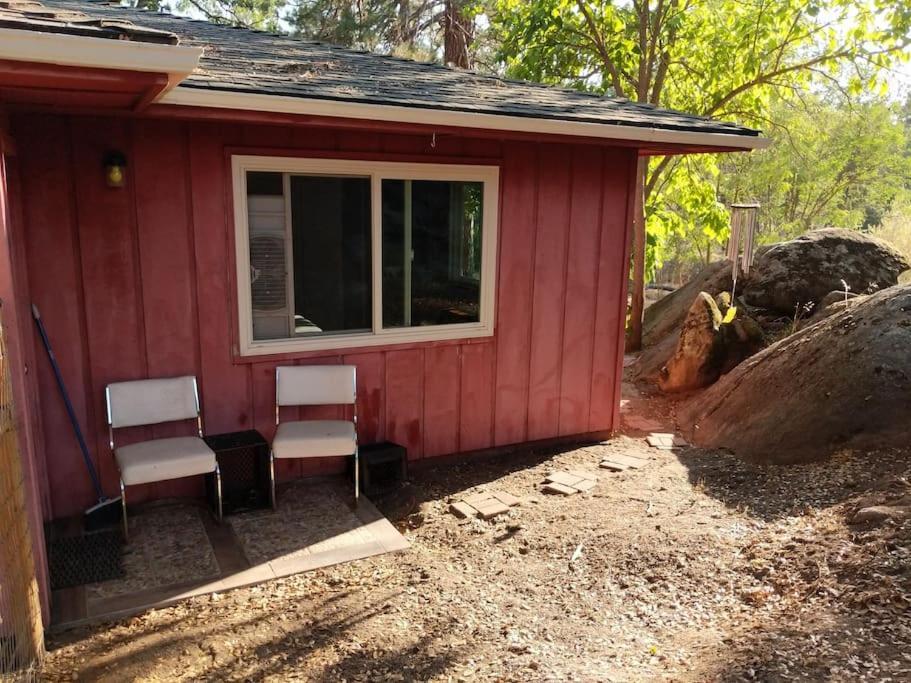 Sleeping Wolf Guest House โอกเฮิร์สต์ ภายนอก รูปภาพ