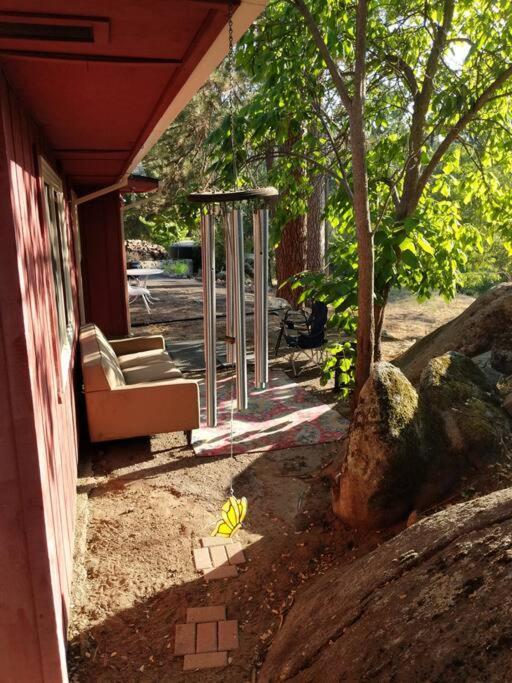Sleeping Wolf Guest House โอกเฮิร์สต์ ภายนอก รูปภาพ